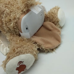 Peek-a-Boo Teddy Bear