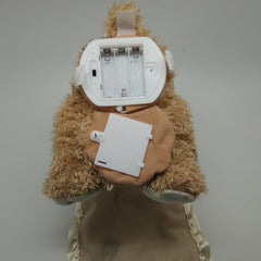 Peek-a-Boo Teddy Bear