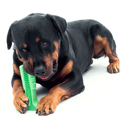 Stress-Free DIY Dog Toothbrush