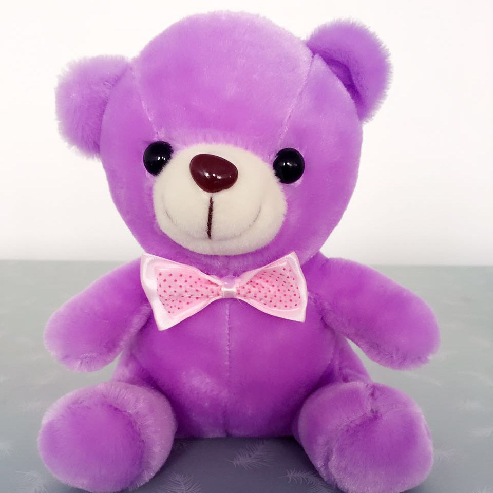 Luminous Teddy Bear