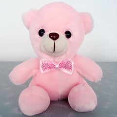 Luminous Teddy Bear