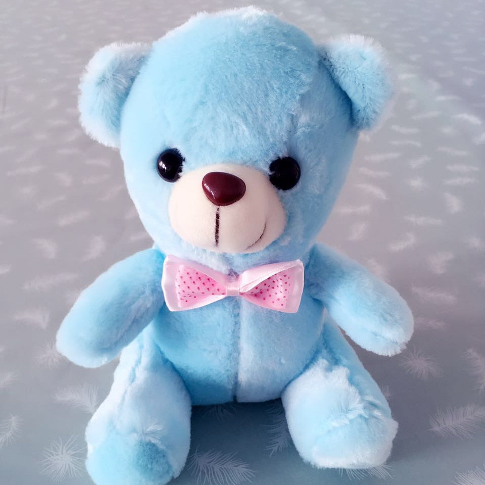 Luminous Teddy Bear