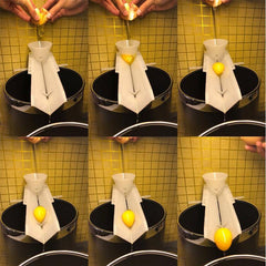 Egg Yolk Separator