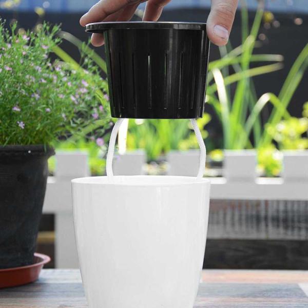LushGardens™ Self-Watering Pot