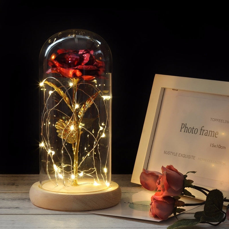 Enchanted Rose