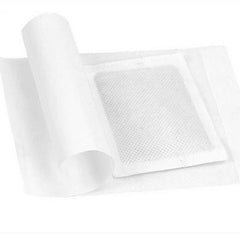 Foot Detox Pads (10 Pieces)