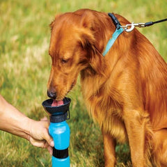 Dog Water Bottle