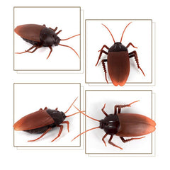Remote-Controlled Cockroach