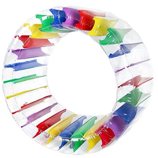 Colorful Swimming Wheel