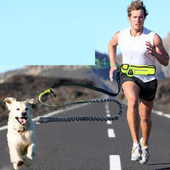 Hands-Free Bungee Dog Leash