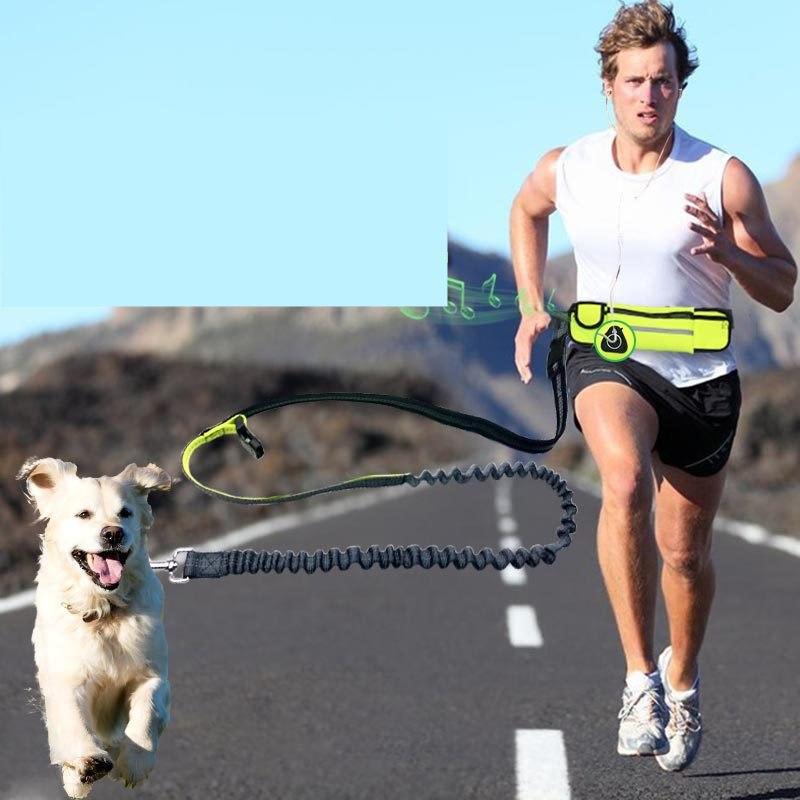 Hands-Free Bungee Dog Leash