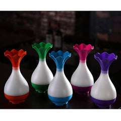 Ultrasonic Oil Diffuser And Humidifier