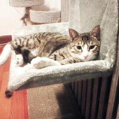 Fur Cat Hanging Bed
