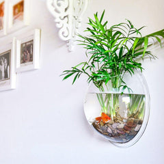 Wall Mount Fish Bowl