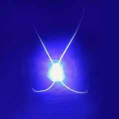 LED Safety Vest