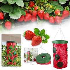 Upside Down Hanging Planter