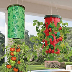 Upside Down Hanging Planter