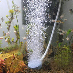 SciFish™ Air Stone Aquarium Bubbler
