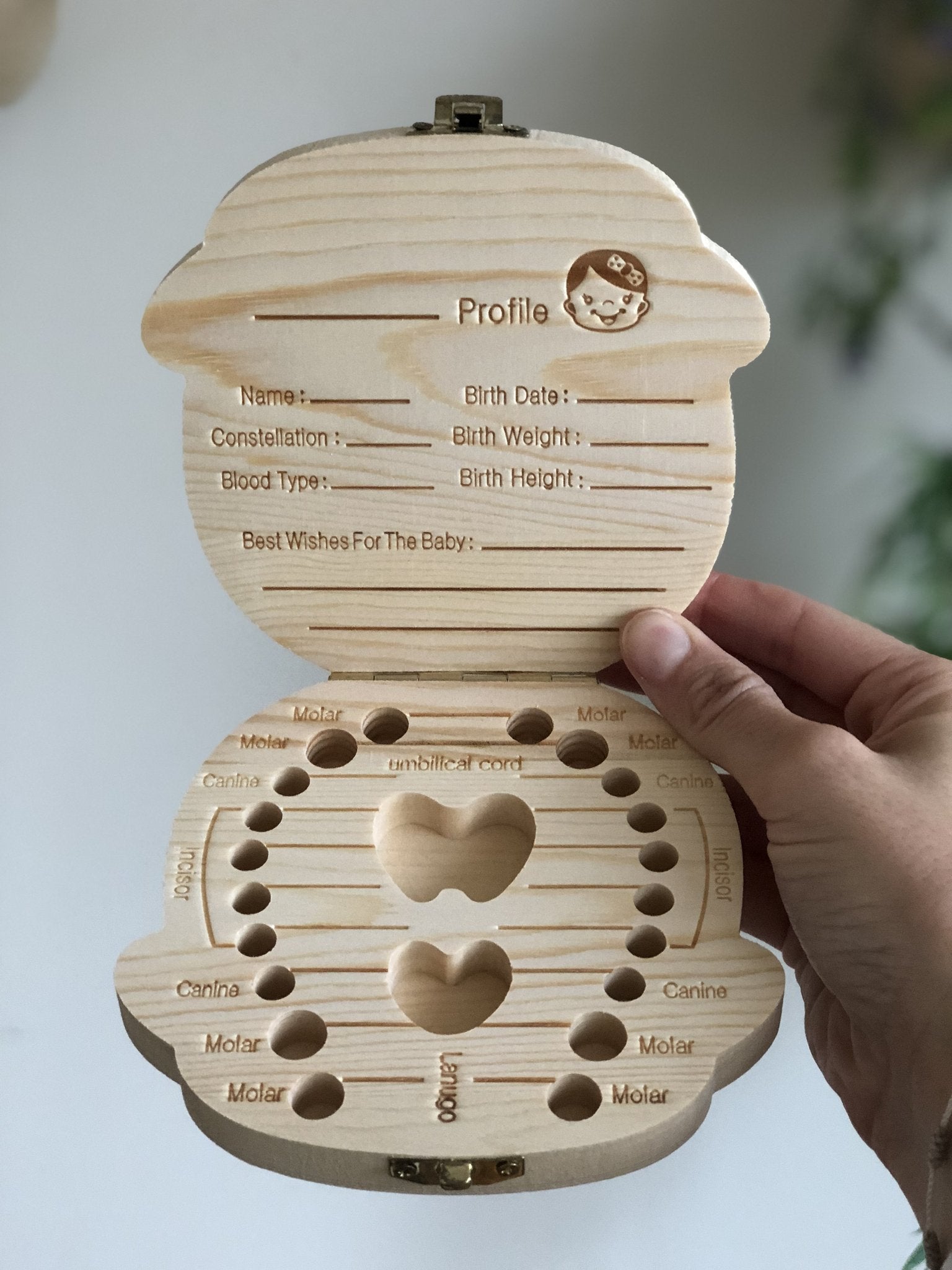 Baby Tooth Box and Tooth Holder
