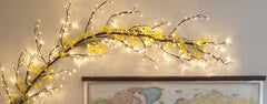 Lit Branch
