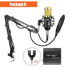 PopAudio™ BM800 Condenser Microphone