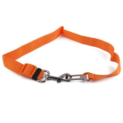 Pet Safety Car Leash