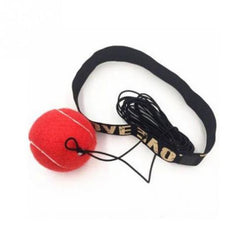 Speed Training Boxing Ball
