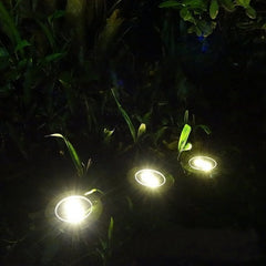 Solar Powered Night Lamp